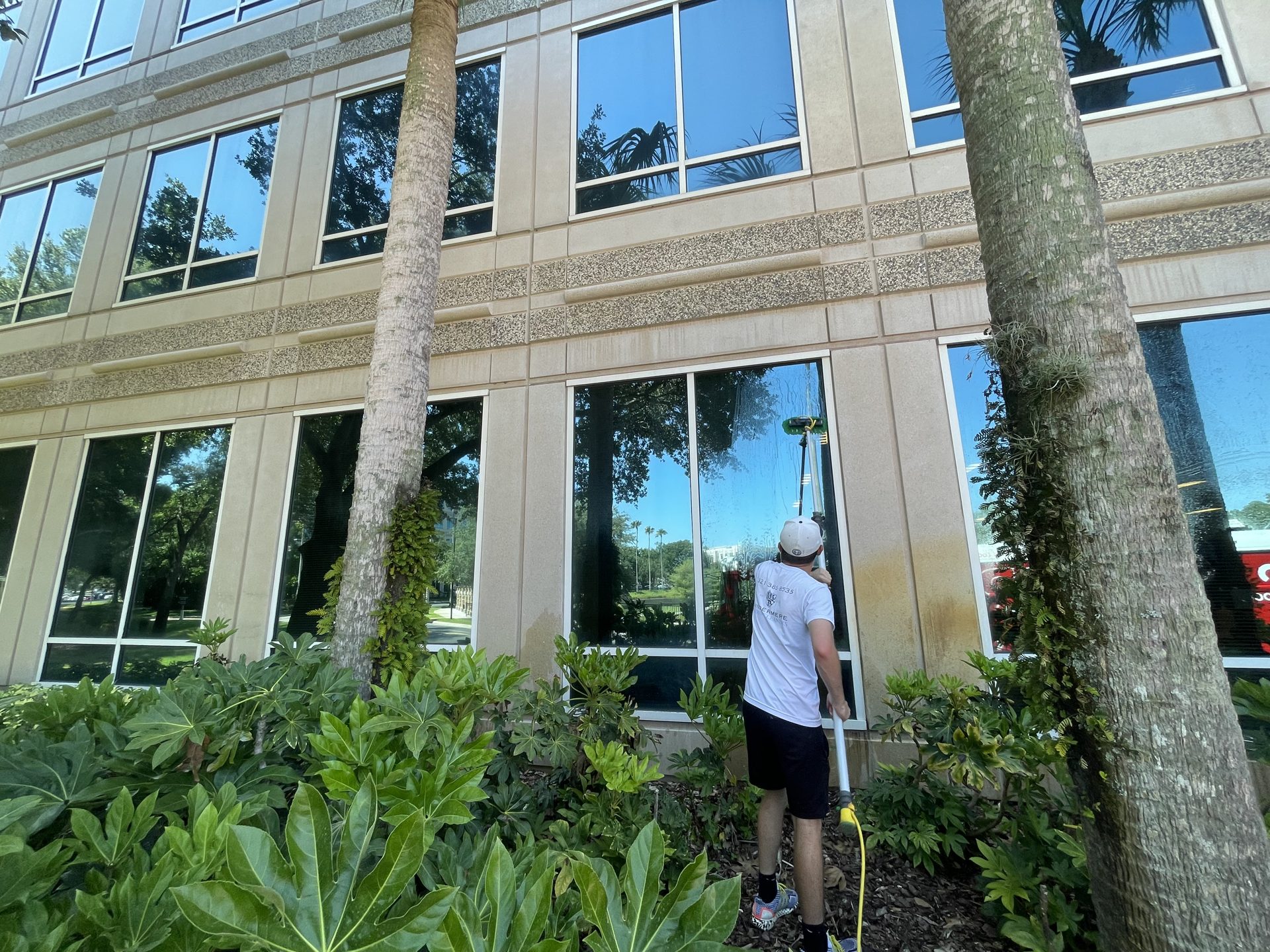 Technician cleaning the windows of an office building framed by palm trees