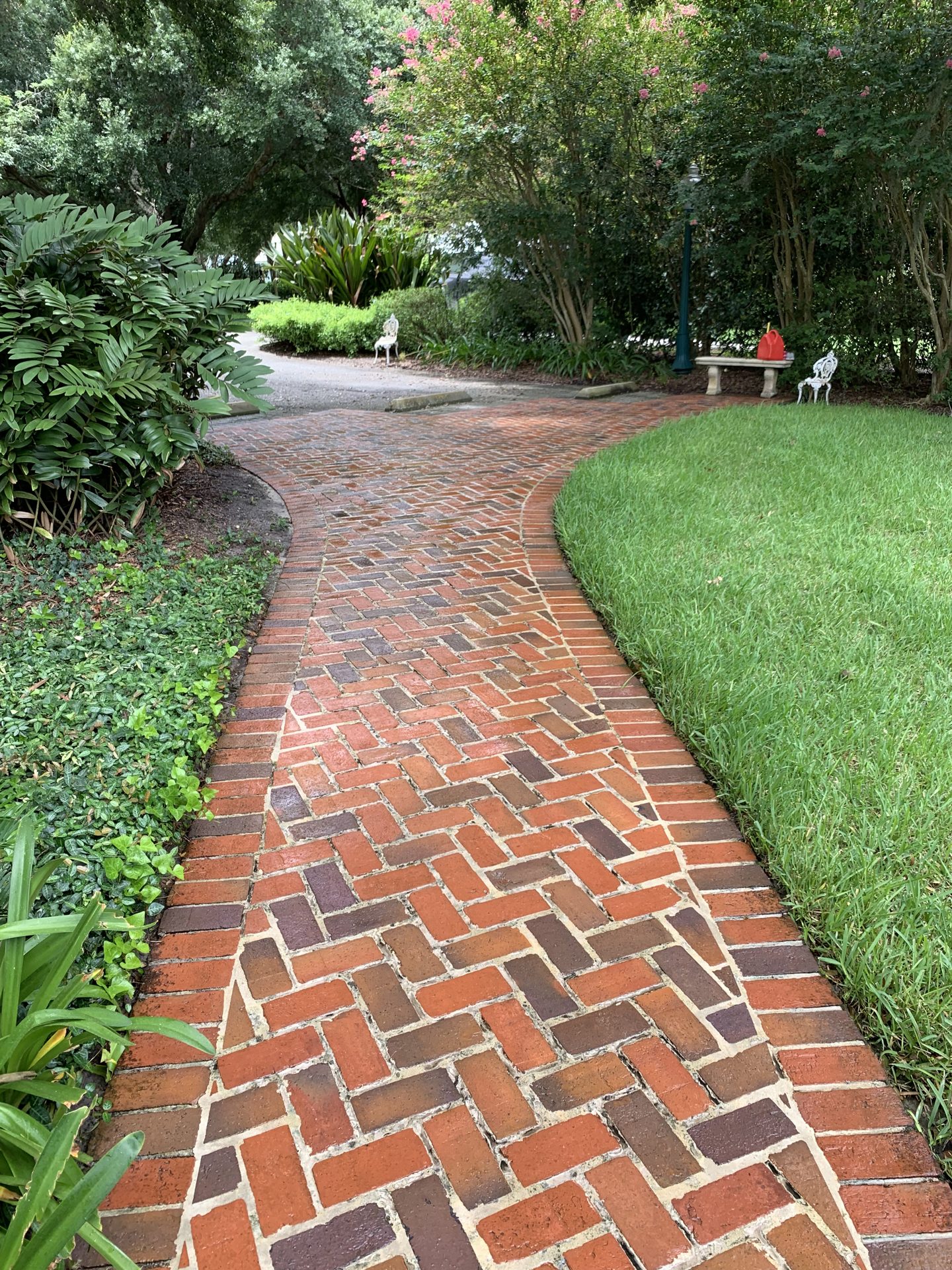 Pressure washing result: a garden walkway cleaned and brightened